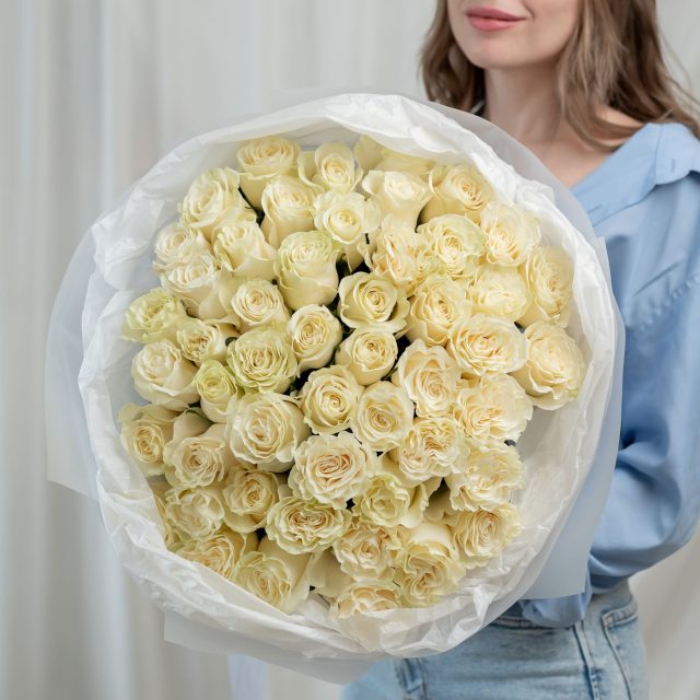 51 белая роза Эквадор (сорт Мондиаль)