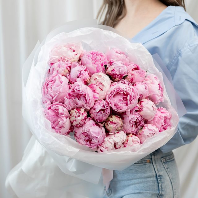 25 пионов (сорт Сара Бернард)