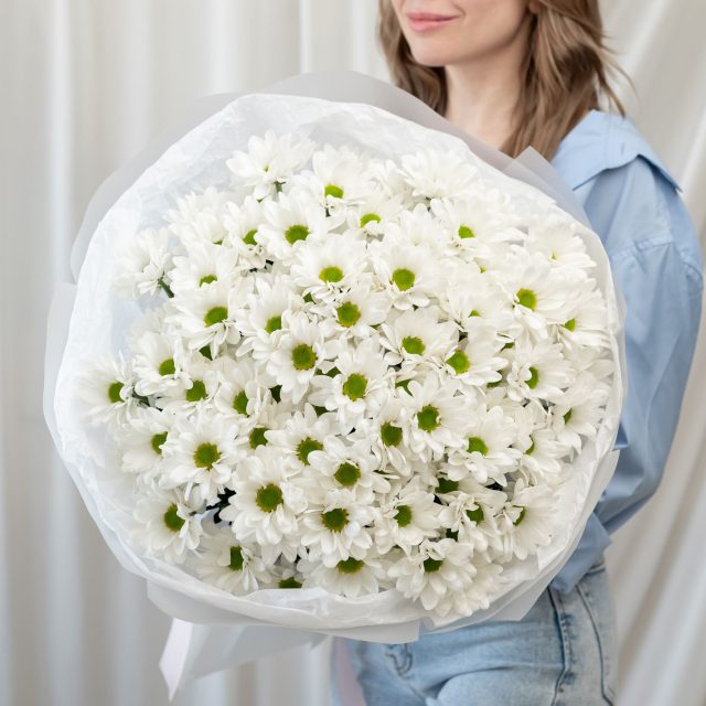 15 белых хризантем (сорт Бакарди)